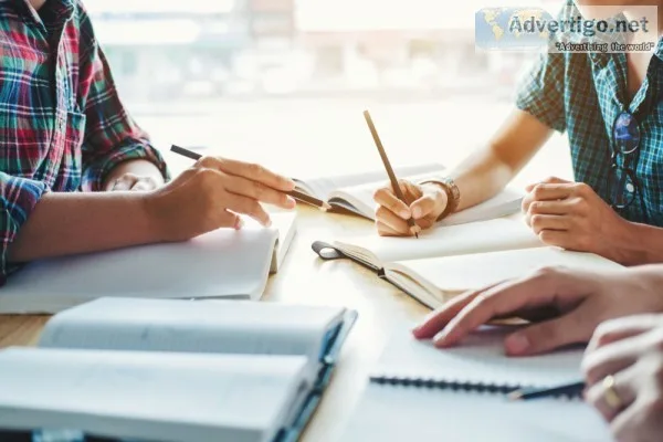 Essay experts
