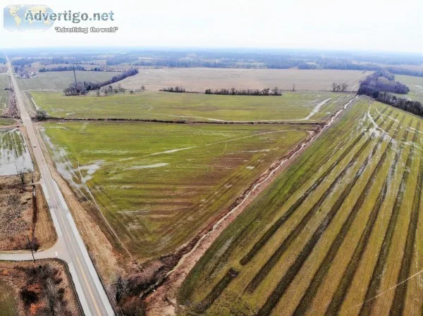 Foreclosure Auction &ndash Prime Farm Land