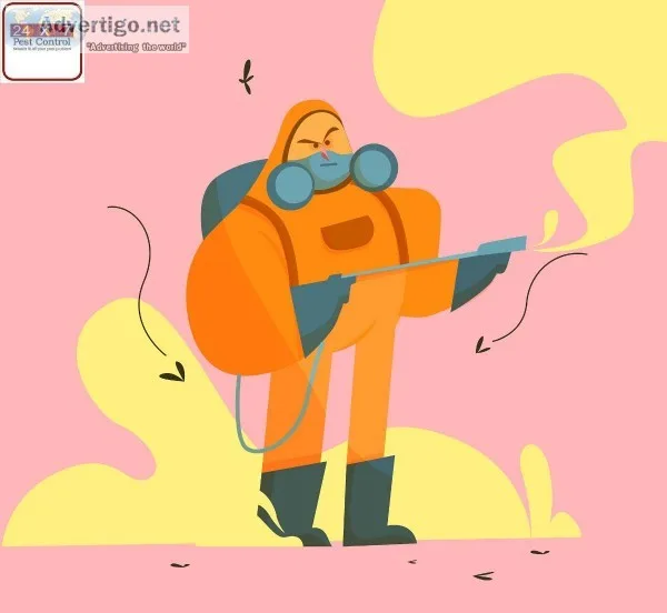 Bed Bug Control Treatment in Lucknow