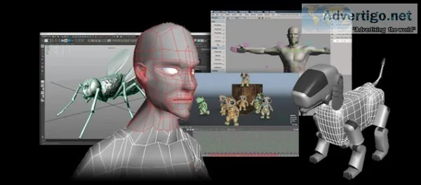 Animation institute