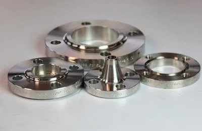 Stainless Steel 310 Flanges