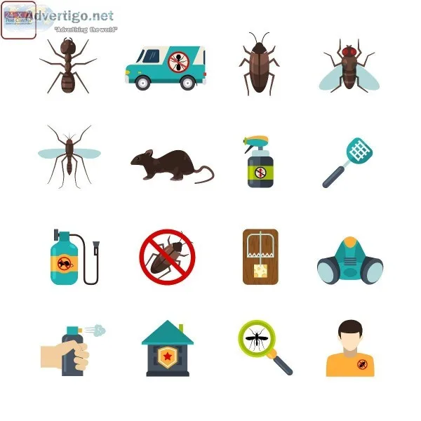 Affordable Pest Control Services in NCR