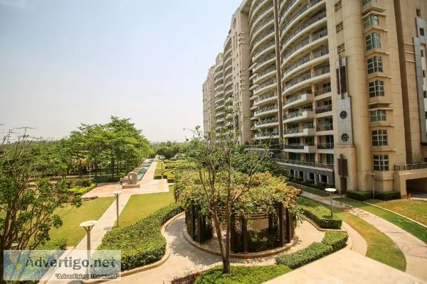 dlf aralias for rent golf course road Gurugram  Service apartmen