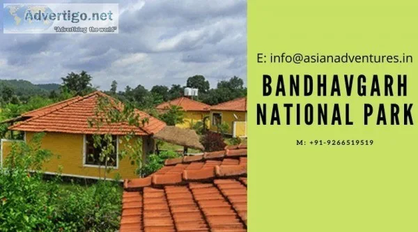 hotels and resorts in bandhavgarh tiger reserve