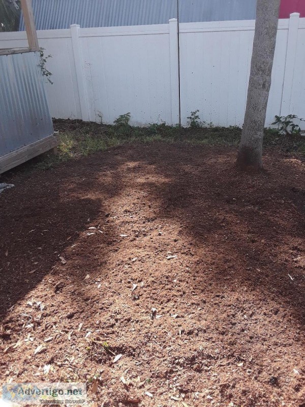 STUMP GRINDING and Surface Roots Removal by Brad Frederick s LLC