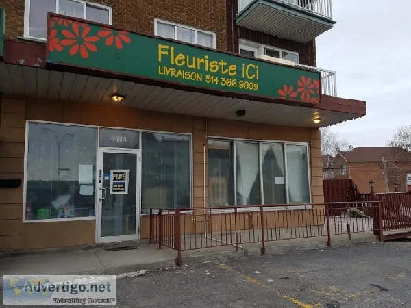 Commercial space for rent - Shevchenko LaSalle