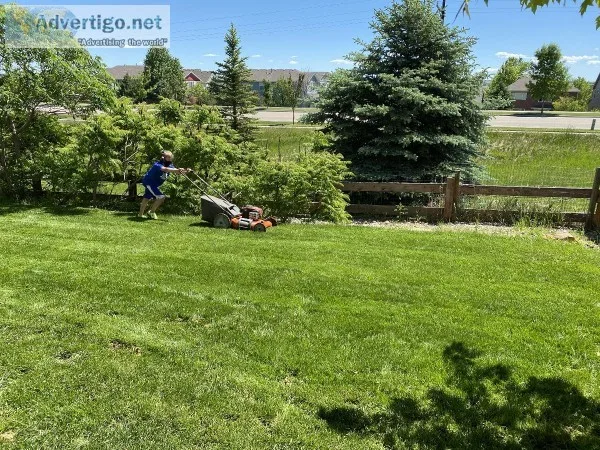 Cheerful Lawn Mowing Duo