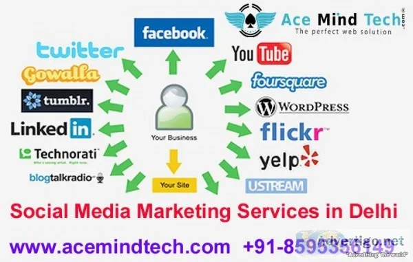 Do You Need Social Media Marketing Services in Delhi Social Medi