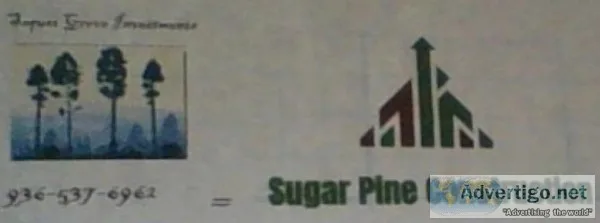 Buying Homes for Cash