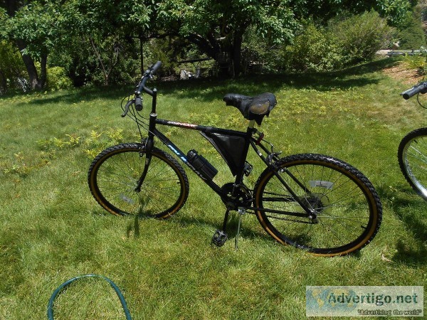 Murry Bike