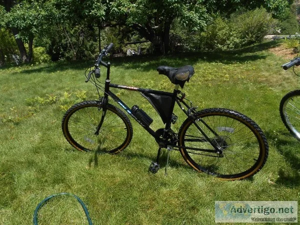 Murry Bike