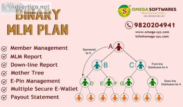 Affordable Binary MLM Plan in Delhi at Best Price