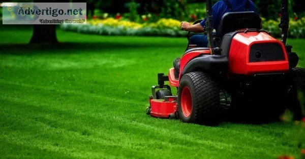 Quality Lawn Service in Fort Worth.