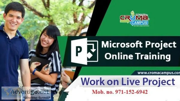 Microsoft Project Online Training