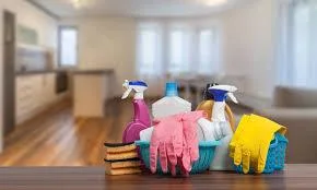 Spring Cleans  Your Cleaner Home