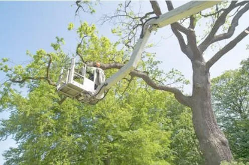 Manchester Tree Service Co