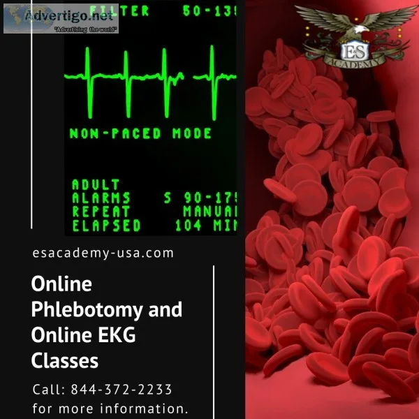 E and S Academy - Online Phlebotomy and Online EKG Classes