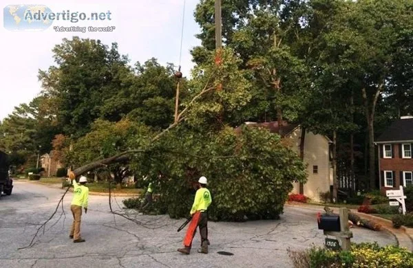 AKA Tree Service Offers 247 Emergency Tree Removal in Atlanta