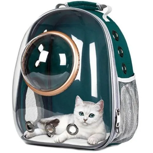 Transparent Pet Carrier