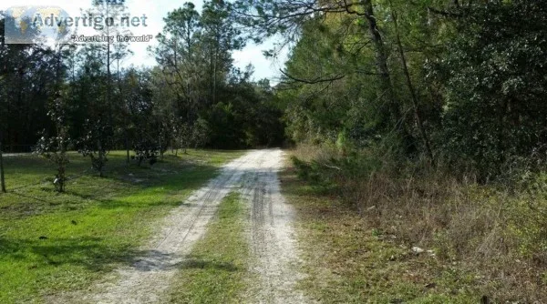 1.02 Acres for Sale in Pomona Park FL