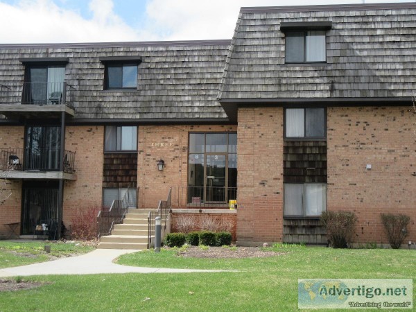 CONDO FOR RENT     BUFFALO GROVE  