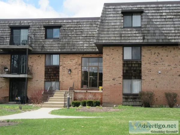CONDO FOR RENT     BUFFALO GROVE  