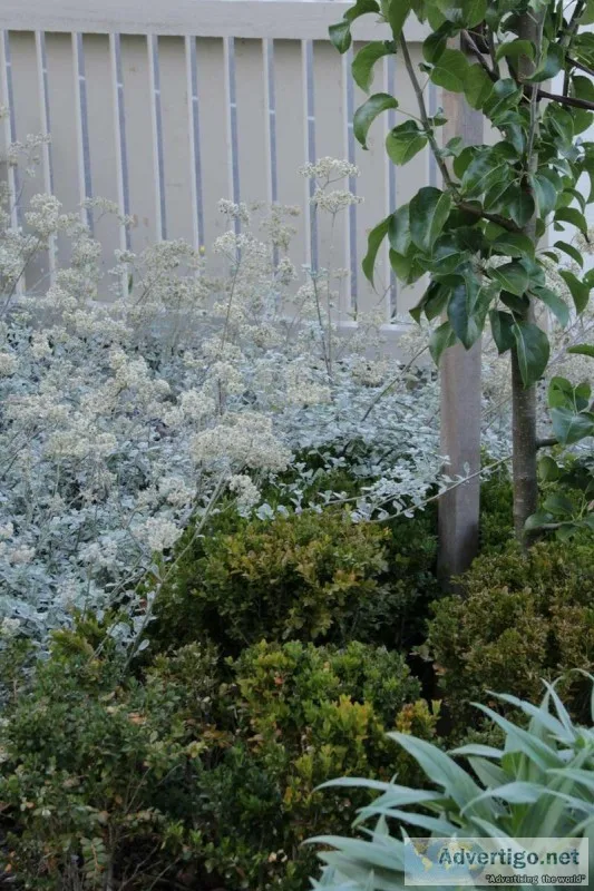 Garden Designer Melbourne