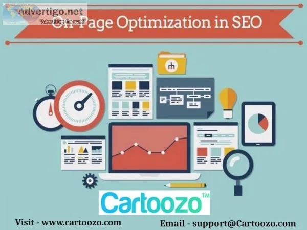 On Page Optimisation Service At Cartoozo