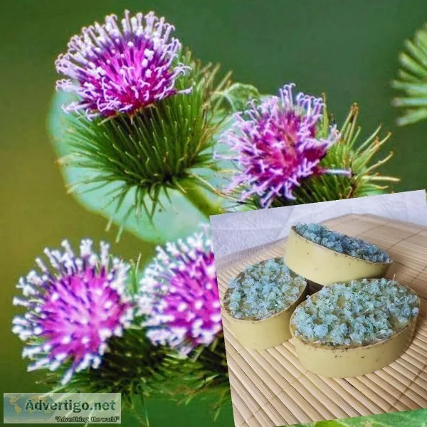 Artisanal plant-based soap fully vegan
