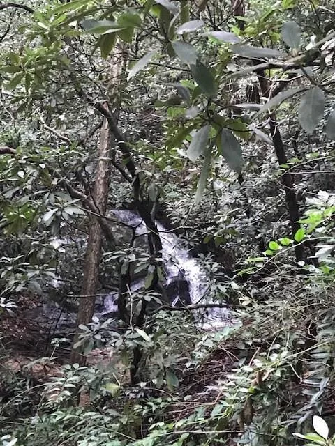 Waterfall Property on Silver Falls Cleveland