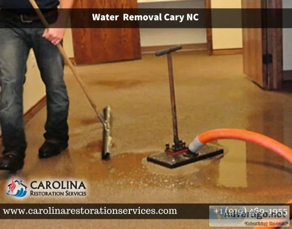 Best Water Removal Company in Cary NC