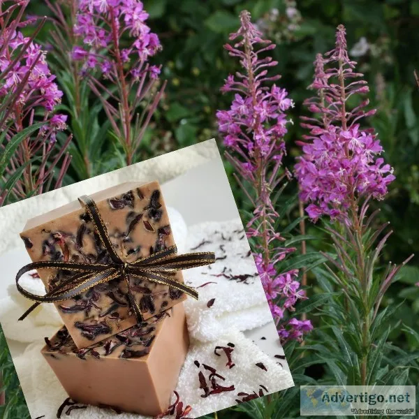 Artisanal herb-based vegan soap