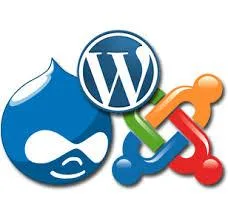 Perth Website Designer