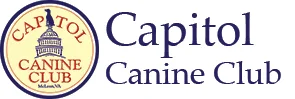 Best Dog Daycare Services in McLean Virginia