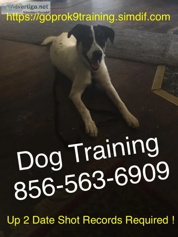 Obedience socialization and problem-solving