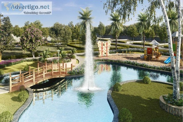 SAMMY S BEVERLY HILLS  Reviews  Price  Premium plots for sale