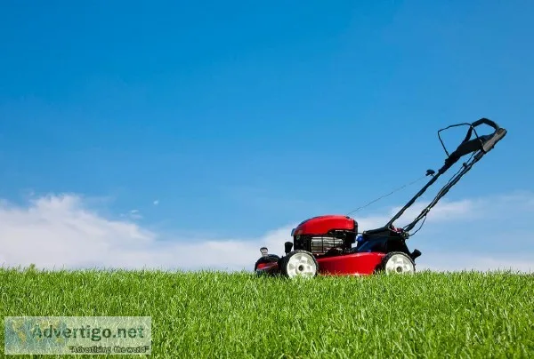 Needing lawn care or fence repair