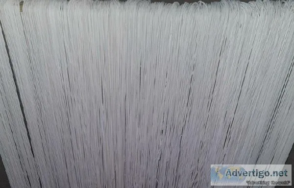 Dry oyester mushroom