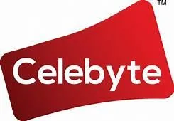 How We Pay Celebrities for Video