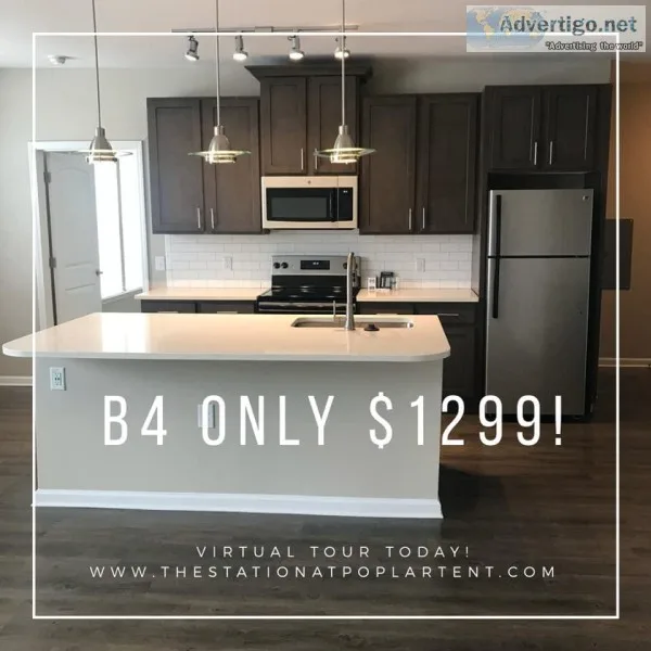 Outstanding One Of A Kind Apartments In Concord NC