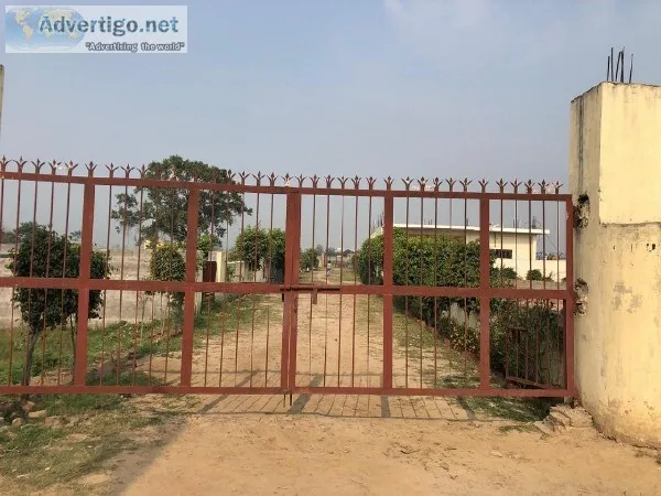 Freehold plot  Noida expressway Near Metro