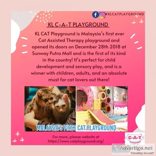 Complete autism therapy school ( c-a-t school )