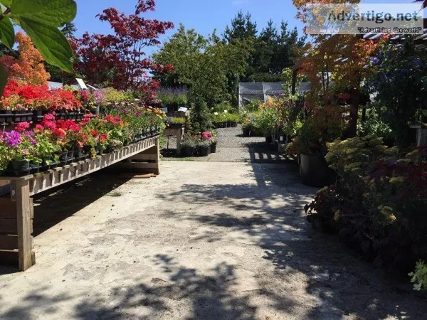Sequim Landscaping and Sprinklers