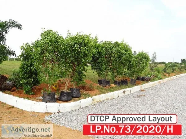 A small investment to make your dreams alive at JP DARGA