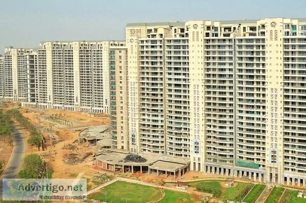 4 BHK in DLF The Magnolias for Rent  Dlf The Magnolias on Golf C