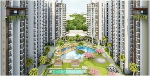 Ace divino floor plans