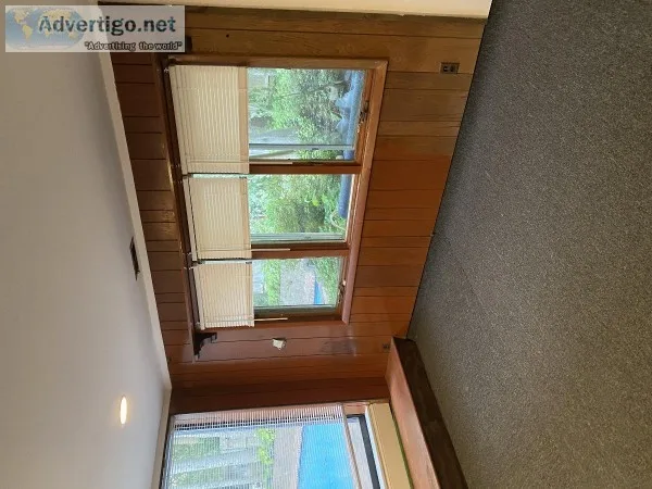 Cozy one bedroom apartment