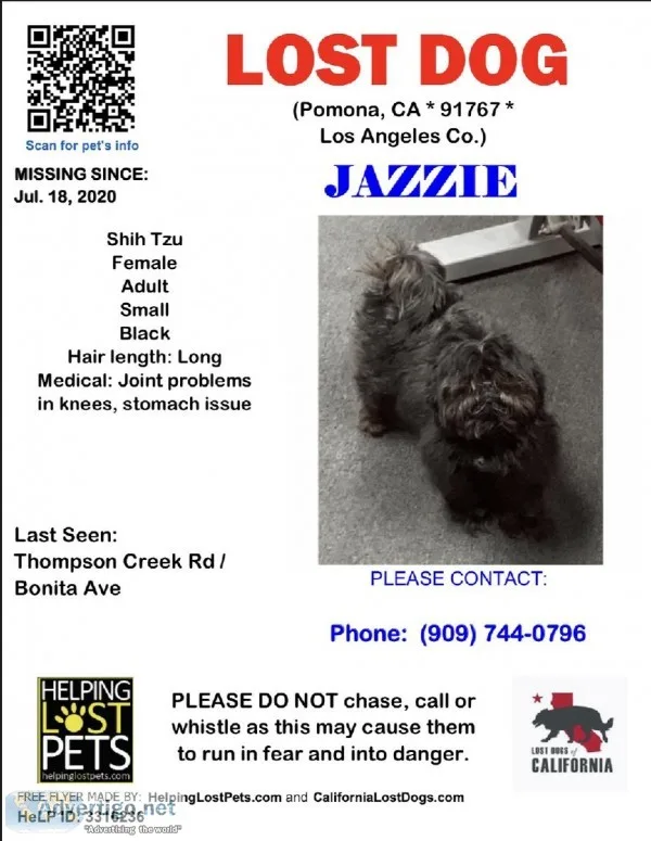 LOST DOGREWARD275