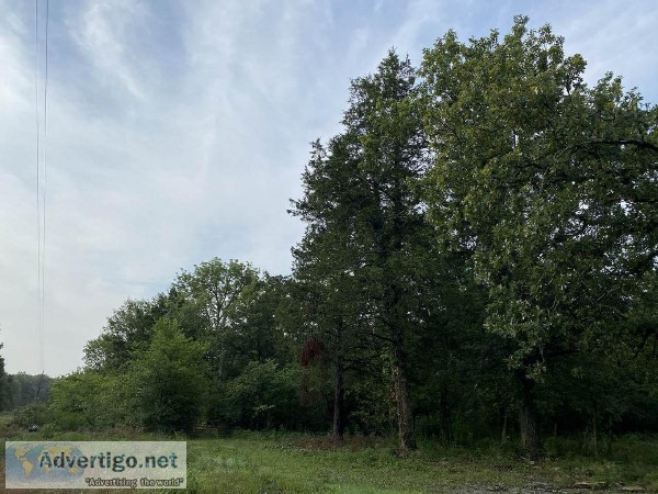 10.6 Acres of Land for sale in Murfreesboro (129900)