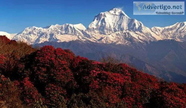 Poon hill trek 5 days
